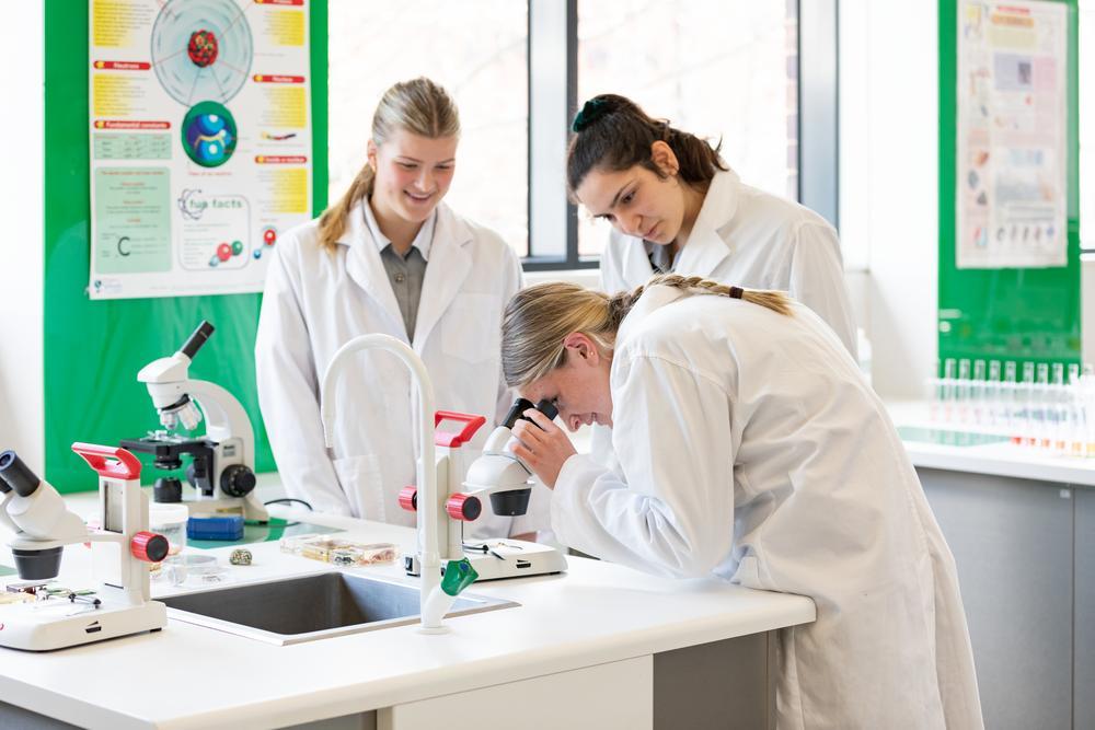 Bringing girls into STEM  