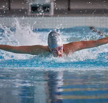 A year of sporting excellence